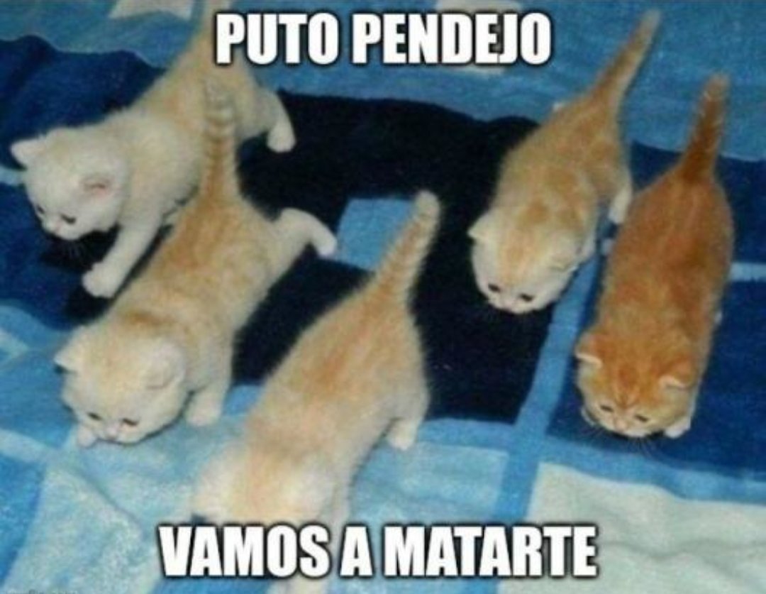lean29555303's tweet photo. @renaceroculta Ah pero no quieren chistes sobre mujeres gordas despues https://t.co/0zJoyJ2JA9