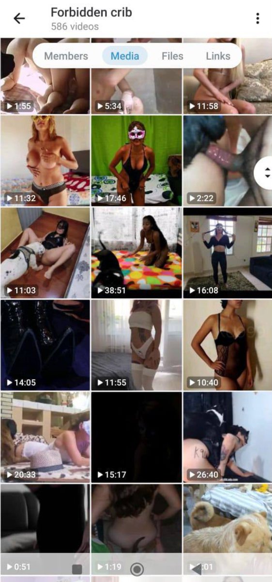 Knotty_JoanX's tweet photo. Your trusted source for premium exclusive zoo content 🔥🐾🔞 Enjoy high-quality videos delivered securely via MEGA links, Dropbox files, and private groups/channels

TELEGRAM 👇 👇👇

🔗 https://t.co/0s5WmNp1yV 🐾

#dogknot #KnotLife #beastiality #KnotLovers #Knotty #zoophilia https://t.co/K9jTJXSlJ7