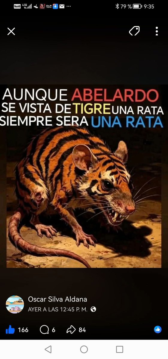 JuanAlfrez2's tweet photo. @ELTIEMPO Malparido hijueputa gonorrea https://t.co/uEBBRTB1rP
