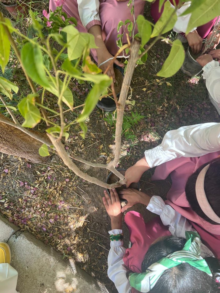 najranenv's tweet photo. بالتعاون مع المدرسة الابتدائية السادسة، أطلقت جمعية نجران الخضراء مبادرة بيئية تهدف إلى غرس حب البيئة في نفوس أبنائنا، وتعزيز السلوكيات التي تصنع فرقًا حقيقيًا في مجتمعنا
نصون البيئة و الاستدامة بثقة  
#بيئتنا_مسؤوليتنا 
#نجران #مبادرات_بيئية #نجران_الخضراء
#السعودية_الخضراء
#البيئة_السعودية
#بيئَتنا_كنز 
 #صندوق_نماء_الوقفي
#جيل_يغرس...لوطن يزدهر
  #نجران_الآن