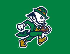 SoSantillo's tweet photo. @CFBGuy999 Minor details, but I don’t like how they didn’t clean up the border like the logo is typically depicted. It looks like they put on a kid’s sticker - could’ve been richer looking. https://t.co/g9QbsHDS8k