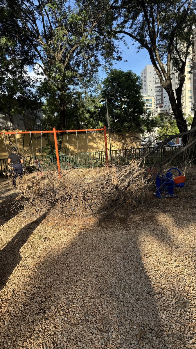 bryanburgosdo's tweet photo. Sra. Alcaldesa @CarolinaMejiaG nos puede dar una mano gestionando que se remueva esta rama en el parque Renacimiento, detrás del Nacional de la Rómulo Betancourt? https://t.co/CpMZjJe7Mg