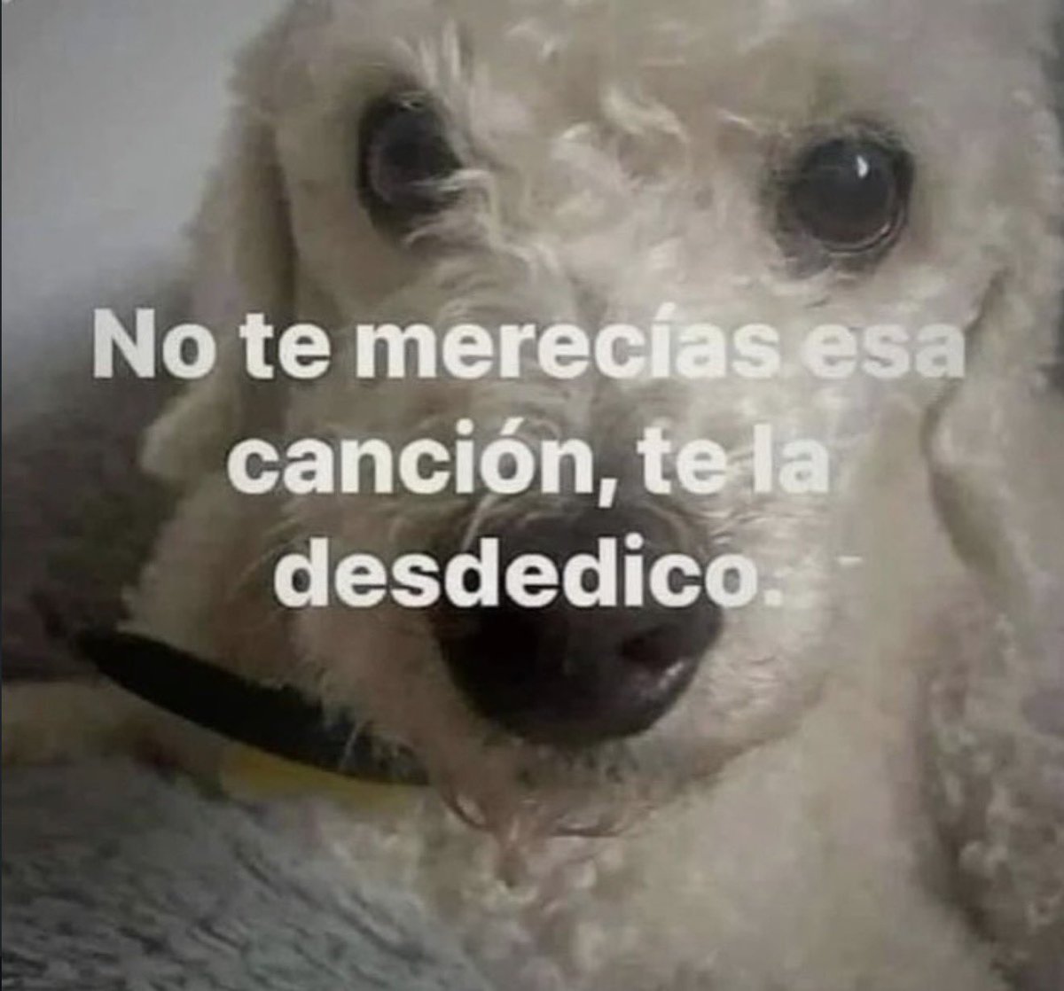 conoloracigarro's tweet photo. https://t.co/0bAXPJJLsQ