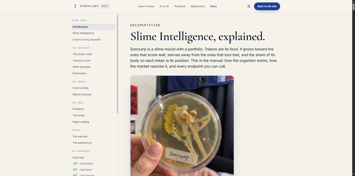 sorocarp's tweet photo. A slime mould is one cell. Zero neurons.

Put it in a maze and it finds the shortest way out.

Lay out oat flakes like the cities around Tokyo and it rebuilds the rail network in 26 hours.

It has been allocating resources for a billion years. It has never read a chart. https://t.co/kfHs1Wr4Ki