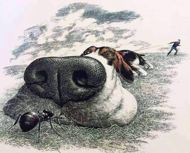 mike_boreas's tweet photo. Sniffer Dog, Simon Drew. 1981. https://t.co/WuAvrIyz4e