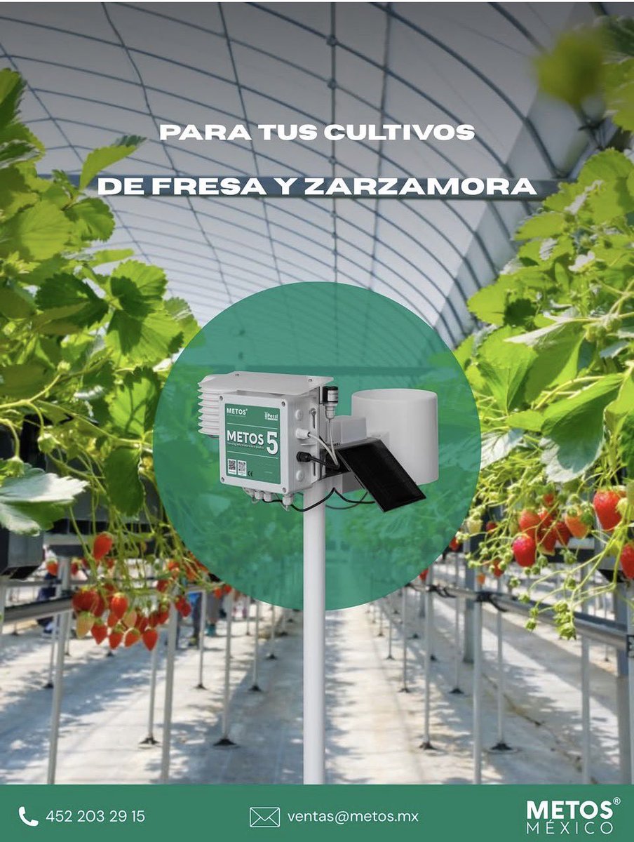 Metos_mx's tweet photo. METOS 5 puede captar una amplia gama de parámetros, incluidos datos climáticos. Su asombroso diseño modular se puede configurar de muchas maneras diferentes, por lo que es super flexible y ampliable para satisfacer todo tipo de necesidades agrícolas.

📲 Contacto: 452 203 29 15 https://t.co/kuCumkNZh9