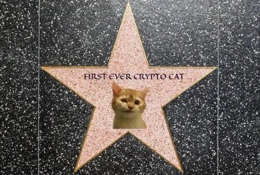 firstreplycat's tweet photo. The lore runs deep.

$Sirius https://t.co/PuI3Jfp8B8