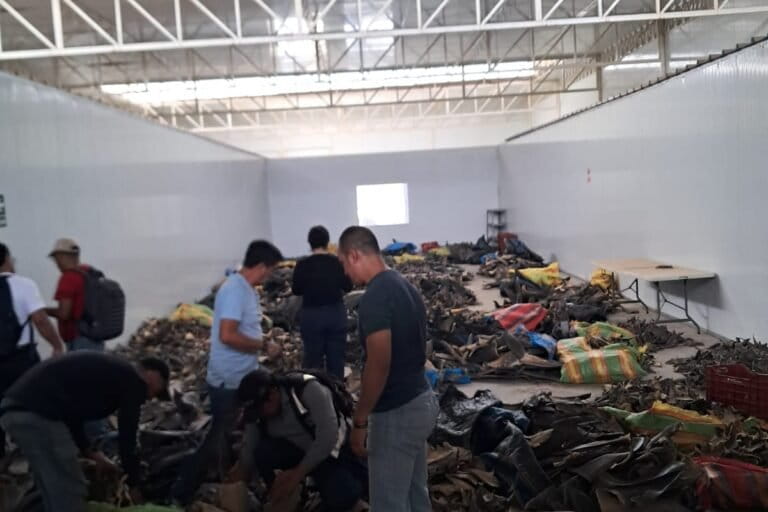 MongabayLatam's tweet photo. #INVESTIGACIÓN | Un operativo en dos almacenes de la cuestionada empresa Lamarqocha Inversiones S.A.C, en Perú, terminó con la incautación de 41 toneladas de aletas secas de tiburón, pertenecientes a especies protegidas por CITES. https://t.co/RxWmMHUl4D https://t.co/2n8vCIHGJd