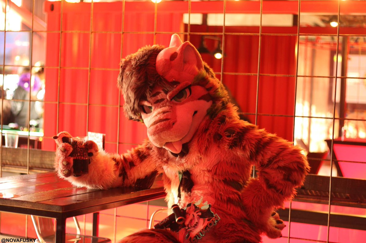 TagTigon's tweet photo. Cheers! Into the new week! 🍻🐾

📸 @NovaFusky at @FursNottingham https://t.co/AYPWw0CnJk