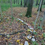 Photo by Облизни ромбики (@funtria)