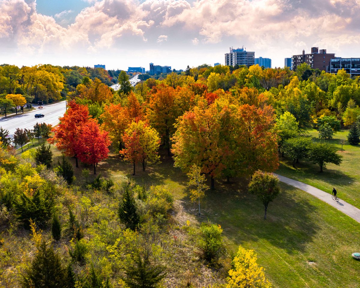 CityBrampton's tweet photo. Planning your Thanksgiving long weekend in Brampton? Thanksgiving is Monday, October 12, 2026. Most City offices, including City Hall, will be closed for the holiday. Here’s what to know before you head out:

🚒 Essential and critical services will continue as usual.
🌲 Parks and most recreational trails remain open year-round.
⚽ Select recreation centres will have modified holiday hours over the long weekend. Registered programs will not run and splash pads will close for the season as of October 12.
📖 All @BramptonLibrary branches will be closed for the holiday.
🐾 Brampton Animal Services will be closed, with officers continuing patrols and emergency response. 
🚍 @BramptonTransit will operate on a Sunday/Holiday schedule.

Need support? Contact 311 anytime at 311brampton. ca or call 3-1-1.

Plan ahead for the long weekend. Here’s what you need to know 🔗: https://t.co/JAALBbkdQz