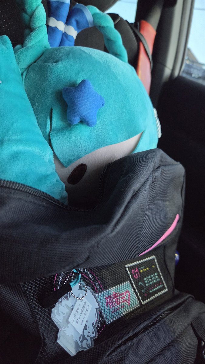 nazu3901's tweet photo. ...。
「\( •ω•´ )/ばa(((」

入るの見てたからわかってるよ
2度も同じ手で驚きませんとも( ๑ㆆ ㆆ)

「(｡•́ - •̀｡)ｼｭﾝ」

...車でお留守番、いいね？

(｡_｡`)ｺｸ

うんいい子ﾖｼﾖｼ(｡´･ω･)ﾉﾞ
また帰ってきたらお膝乗せてあげるからね

( ⸝⸝⸝⩌⤚⩌٥)ﾑｩ…

 #1日1なずﾌﾜ https://t.co/D1IUNvbIC5