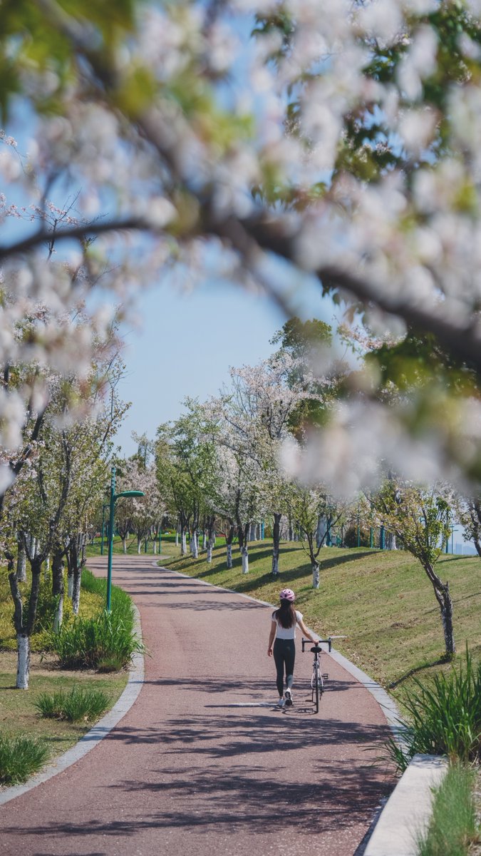 MelanieMeruzww's tweet photo. Hoy me encontré con [佳菜暗] caminando por el parque, su energía ilumina todo el lugar! https://t.co/Tf309ludZP