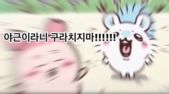 11615_ho5hi's tweet photo. 믿을수가없다 https://t.co/5DZpZcpVho