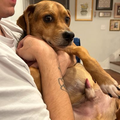 itchyass93's tweet photo. #NewProfilePic https://t.co/1mH5QBDj3u