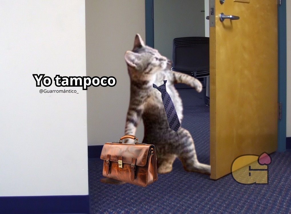 Guarromantico_'s tweet photo. — Mi jefe: Oye, ¿no te puedes quedar un ratito más?
— Yo: ¿Me va a pagar un poquito más?
— Mi jefe: Es que no puedo.
— … https://t.co/NSXnXw7r18