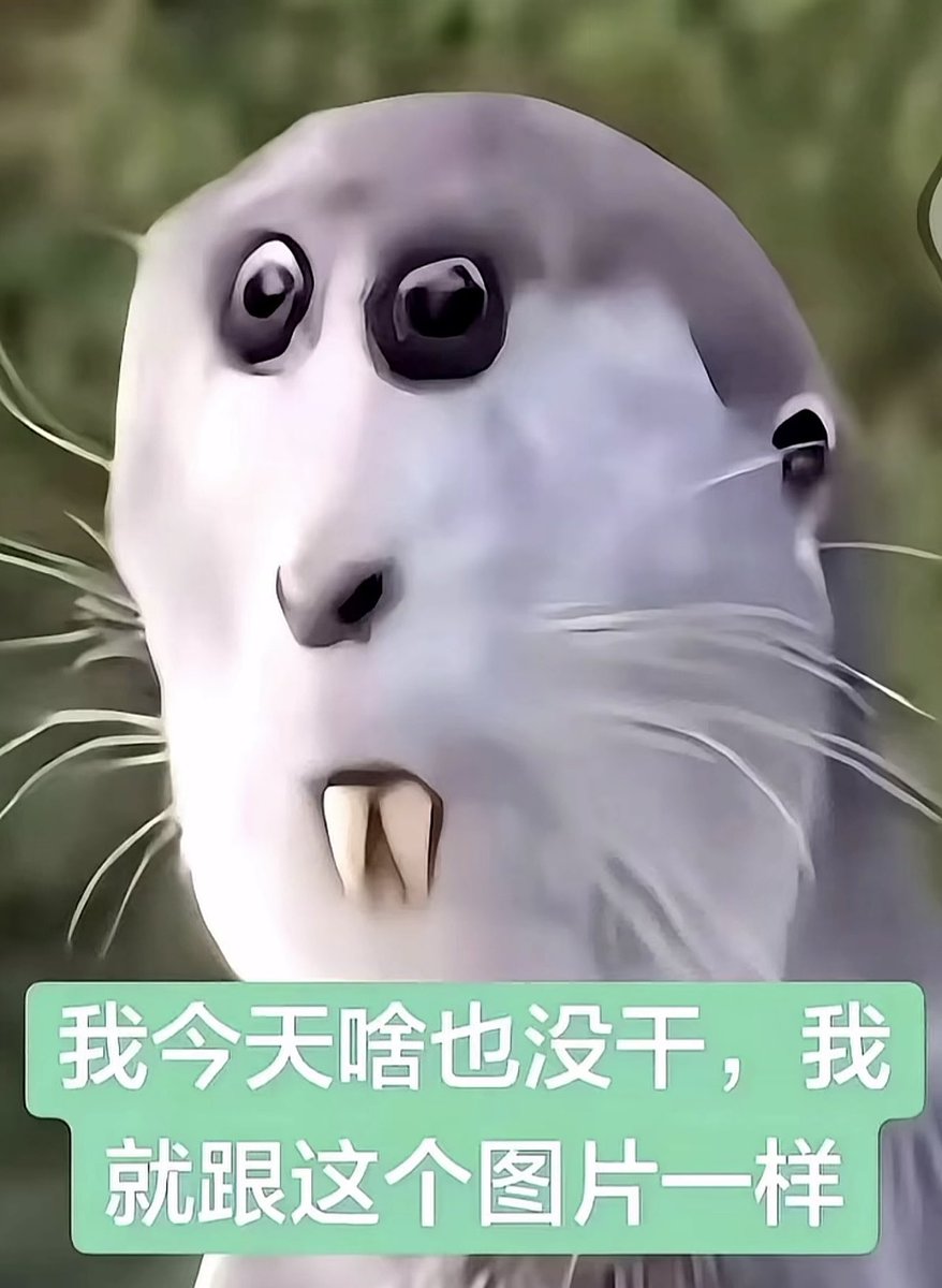 wngrnmng326457's tweet photo. https://t.co/QRUbIhB2w4