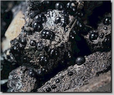 NicoleSancfx's tweet photo. [Con el nombre 铀只偎觅地, este raro mineral brilla con un color único bajo la luz ultravioleta, atrae a los entusiastas de la geología.]， https://t.co/j4dI9P054Q
