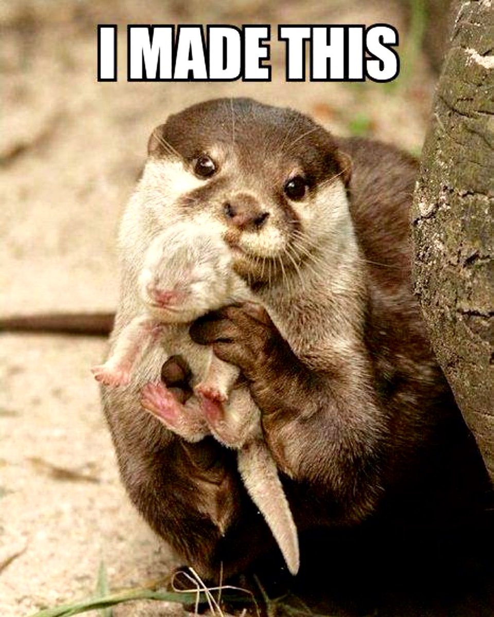 Spartan375x's tweet photo. @Saelicity How I imagine you with your child https://t.co/dixupNtafV