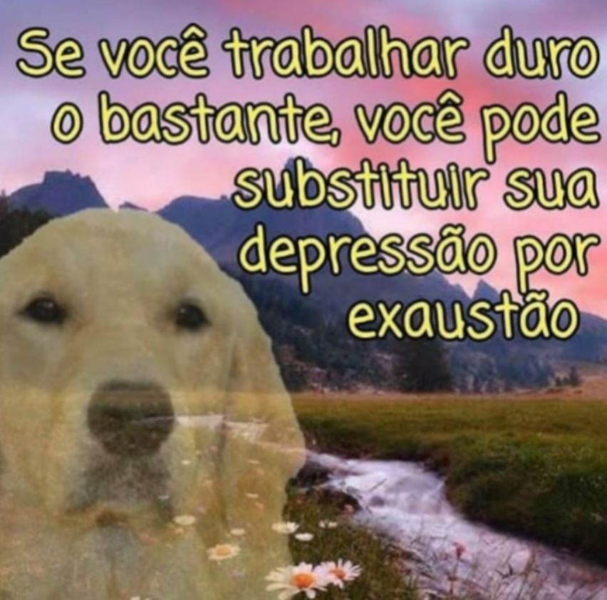 memes_horriveis's tweet photo. https://t.co/p7b2kJCqxF