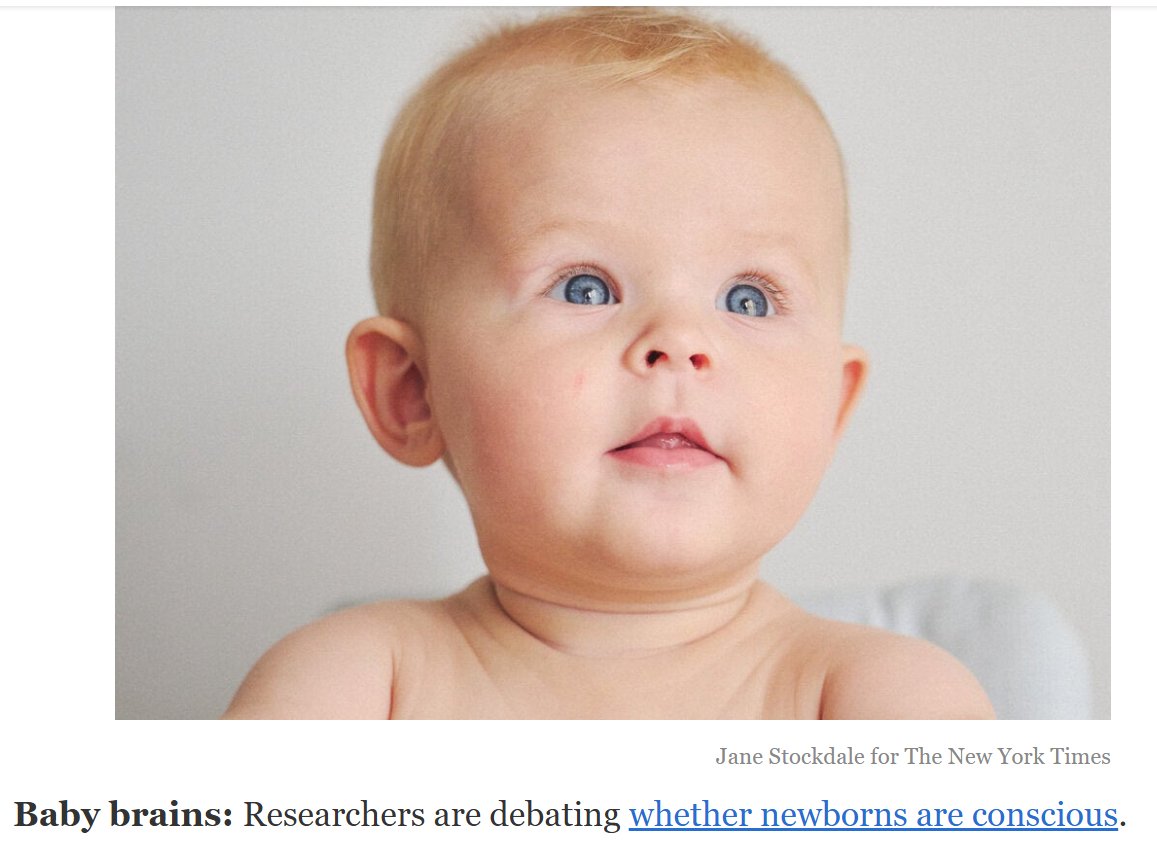 JeffClarkUS's tweet photo. The New York Times is platforming "researchers" questioning whether newborns are conscious.

My counter-headline: "Human beings born with spirit and mind do not question whether newborns are conscious."

Clearly, the "researchers" are engaged in this question so that their "work" can eventually be used to justify infanticide. No thanks.