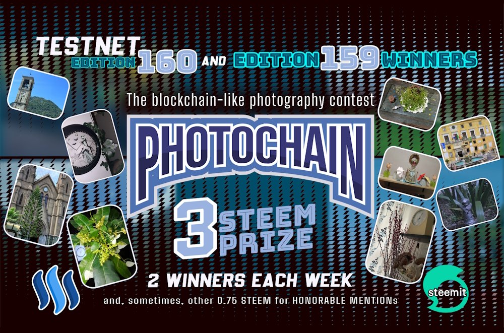 EveryWork1's tweet photo. PHOTOCHAIN Challenge | Edition 160
The blockchain-like PHOTOGRAPHY contest
Prize in STEEM [ENG | ITA]

on @steemit and @ItalygameW

#photochain #contest #challenge #fun #4fun #photography #fotografia #italia #STEEM #Steemit #TRON #Crypto #Blockchain

https://t.co/ahRPhn1KE7 https://t.co/ZV7GnOimwR