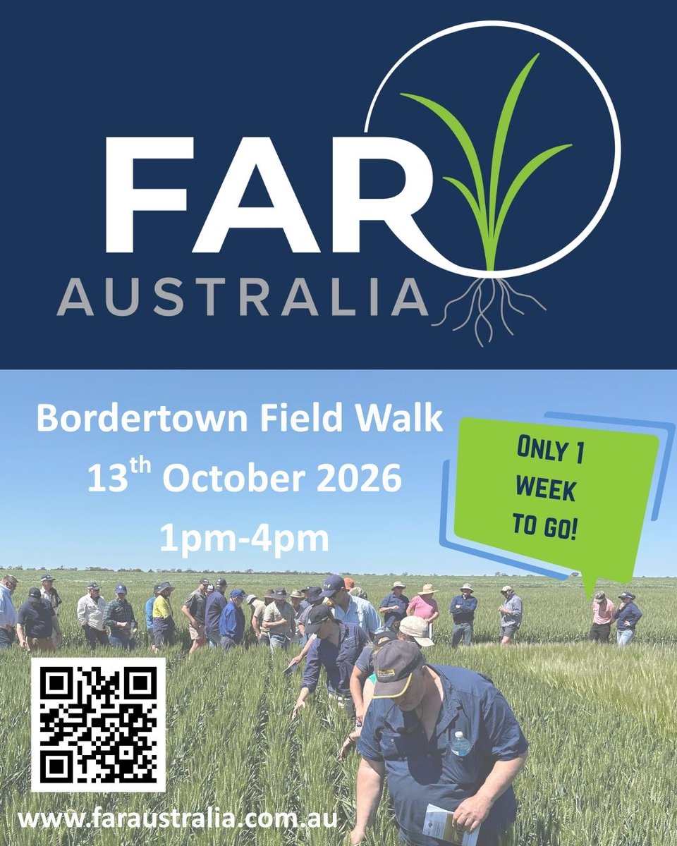 far_australia's tweet photo. Field walks, practical insights and great conversations. Join us at Bordertown to explore crop phenology, disease management, nutrition and the latest learnings from FAR's Germplasm Evaluation Network.
REGISTER NOW
https://t.co/0tAYiphLEK
#AgResearch #AgInnovation https://t.co/SceUVeQHyb