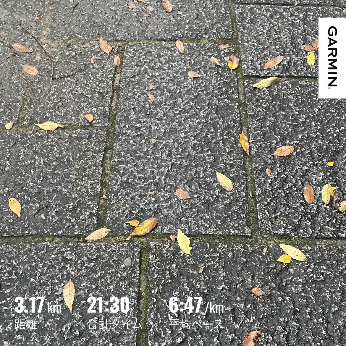 tempi43's tweet photo. 今朝はくもりと思い外に出たら、雨がポツポツ☂️ ま、これくらいならと言う感じだったのでそのまま走った。昨日も頭痛がありしんどかったけど、今日は大丈夫そう！　ホント、健康ってありがたい🙏✨
#ランニング #朝ラン #朝活 https://t.co/GOu41lvXQH