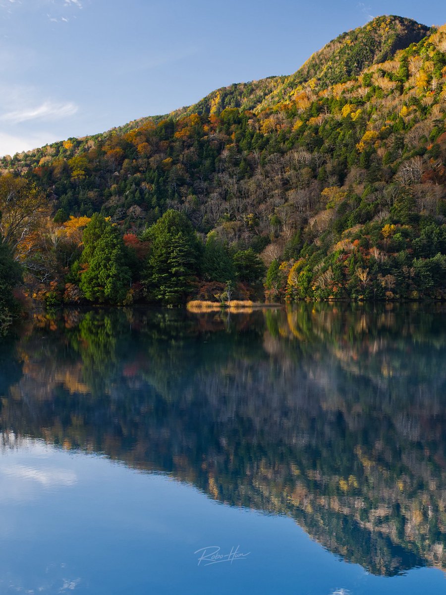 dualsurface's tweet photo. 🏝️⛰️🍁 https://t.co/Qn4W2gjj0q
