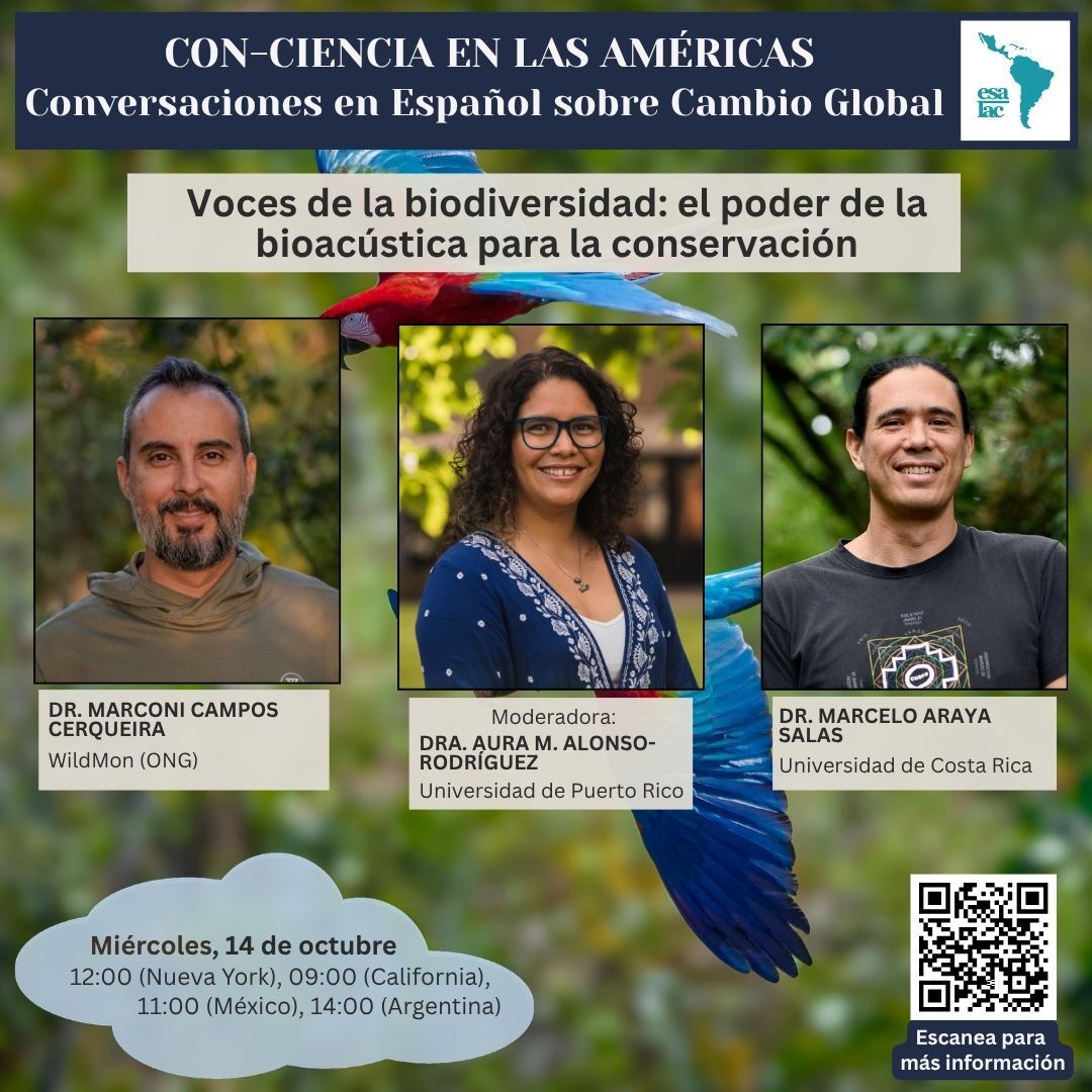 ESALatAmCarib's tweet photo. ▶️ En vivo por YouTube Live: https://t.co/ckvVBZJ4HP

💬 Envía tus preguntas y suscríbete a nuestra lista: https://t.co/hC4GmemEYY

🎥 Mira las grabaciones anteriores: https://t.co/NqAetLDRMo https://t.co/AL5Dt9MkAj
