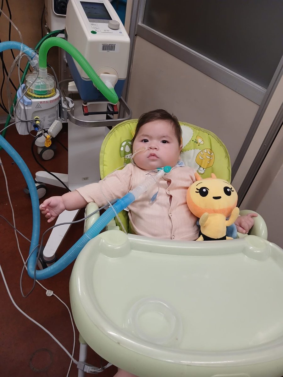 AnyColazo's tweet photo. Hola a todos Violeta cumple un año en unos días, está internada en el Garrahan y necesita ir a casa, para ello requiere de 1 Bipap, 1 Aspirador de secreciones, 1 Tubo de traslado, 1 Oxímetro, la familia no cuenta con los recursos para adquirirlosNos ayudas? si  25000 personas donan $100 la ayudamos a que al fin pueda ir a casa. Tu rt también ayuda a llegar a más personas. ALIAS https://t.co/GNUYPvvEBk