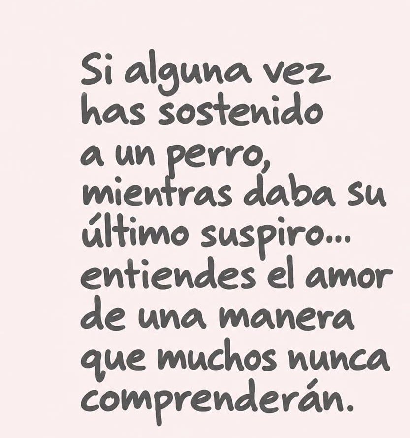 menresa's tweet photo. ✨ https://t.co/Kwpb9RKN3C