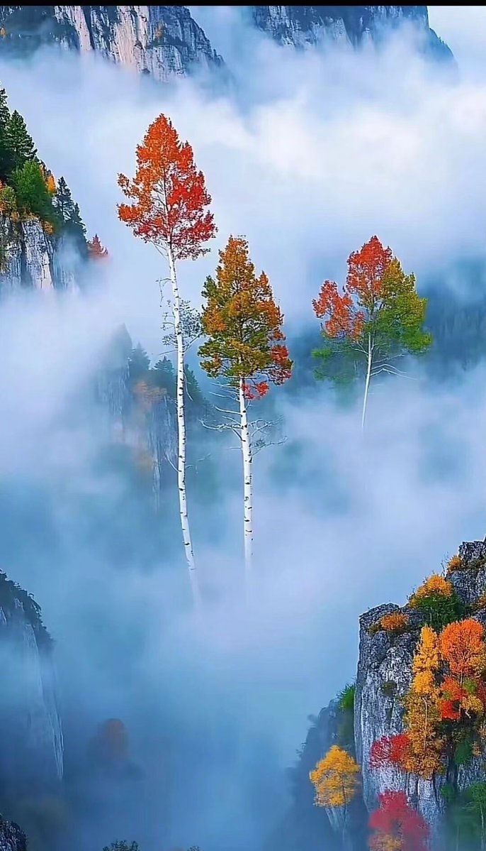 PresleyFinlcdr's tweet photo. [Entre la bruma de Lushan, los sabios se reúnen y los seguidores admiran cada momento, un encuentro inolvidable.]， https://t.co/ciaspJJWqn