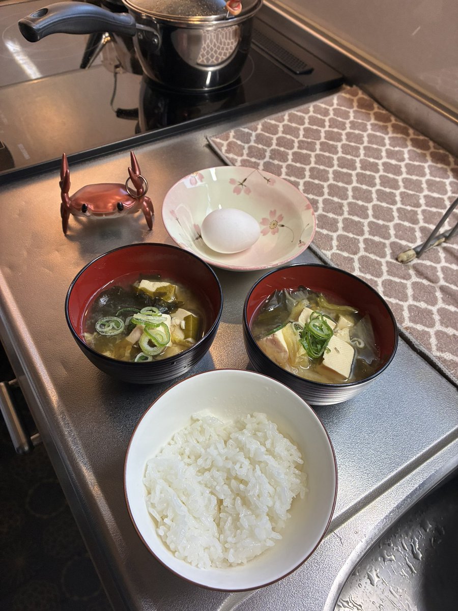 yanwari5050's tweet photo. 朝ごはん🍚

おはようございます🐣 https://t.co/II9SDD3qLQ
