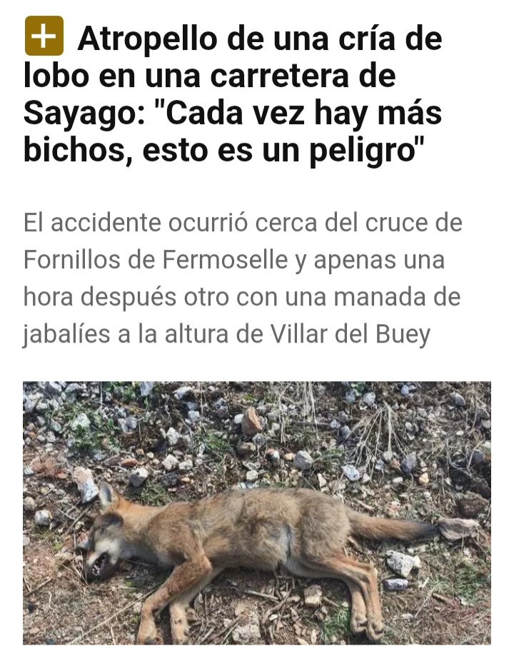 ascel_lobo's tweet photo. El verdadero peligro sois vosotros y vuestro periodismo amarillista de pandereta @opiniondezamora. https://t.co/P4DNCBFNUX