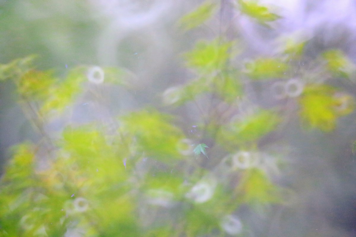 drystknights's tweet photo. The Last Shape（.transposed）

Edge of Liminalis

#夢と記憶の解像度 
#DreamoryResolution 
#写真
#photo
#Reflexlens https://t.co/aUExZm5NfC