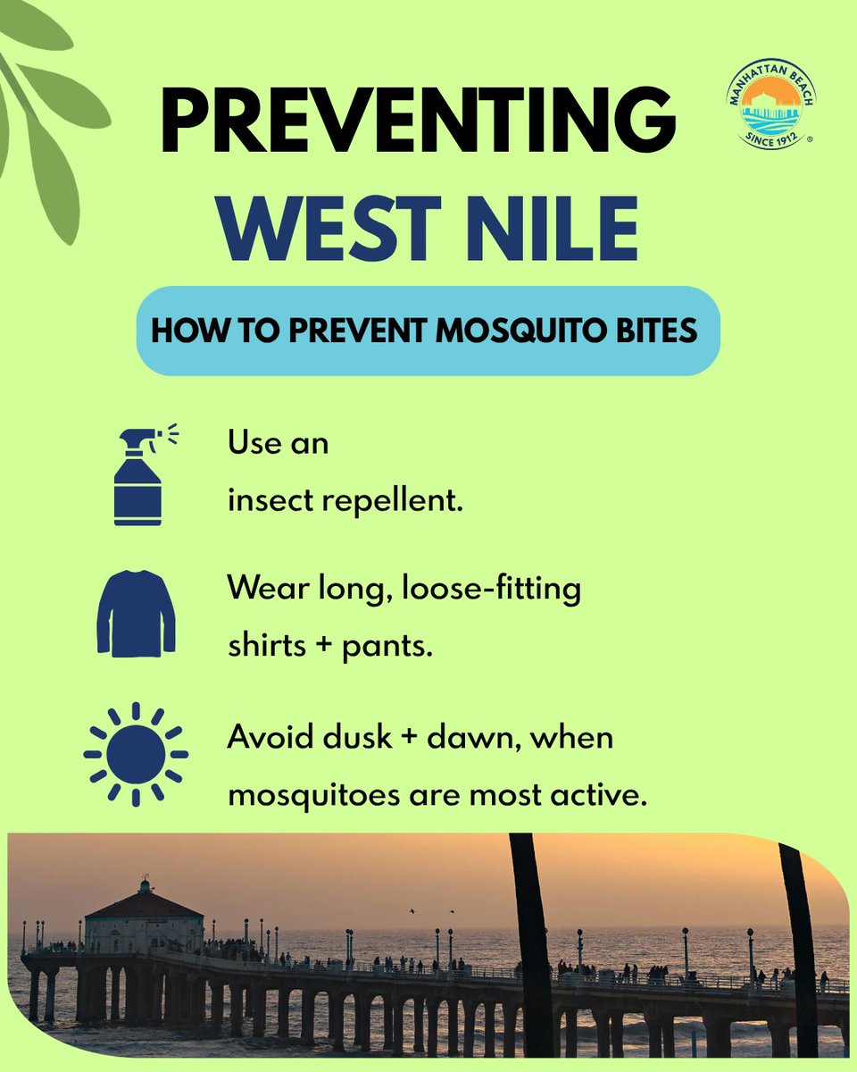 citymb's tweet photo. West Nile virus is spread through the bite of an infected mosquito. Swipe ➡️ for simple ways to prevent bites and reduce mosquito breeding around your home.

See a mosquito issue? Contact LA County West Vector Control District: (310) 915-7370. https://t.co/5IjU0rFFsJ