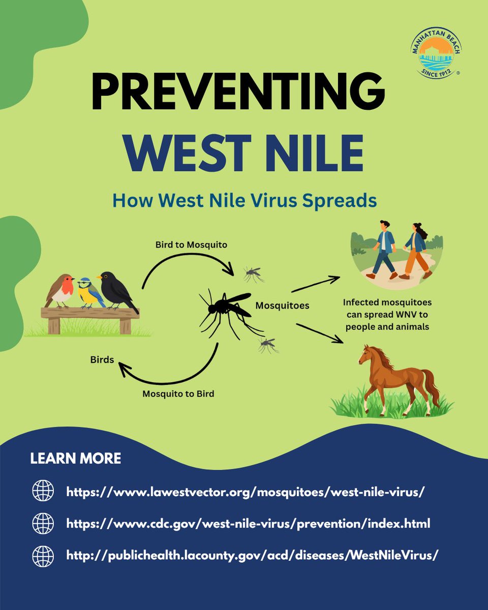 citymb's tweet photo. West Nile virus is spread through the bite of an infected mosquito. Swipe ➡️ for simple ways to prevent bites and reduce mosquito breeding around your home.

See a mosquito issue? Contact LA County West Vector Control District: (310) 915-7370. https://t.co/5IjU0rFFsJ