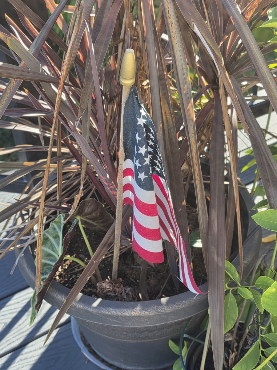 AbsoluteArtwork's tweet photo. @DaveInStLouis1 I do keep a flag up and out that might look like garbage but to me it's priceless. I was given it by a family that was also waiting along 270 as we paid our respects to Marine Corps Lance Corporal Jared M. Schmitz as he was brought to Jefferson Barracks https://t.co/49WNeUxCIk