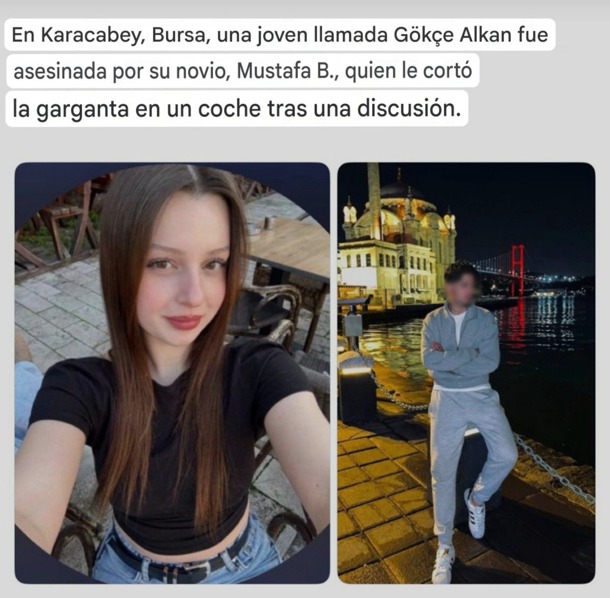 mariomojc's tweet photo. O sea, un tipo de Turquía degolló a su novia después de una discusión, pero como el tipo es apuesto, un montón de mujeres empezaron a seguirlo, darle me gusta a sus publicaciones y mandarle mensajes.

El instinto de supervivencia por los suelos... https://t.co/F7T0OKLWxP