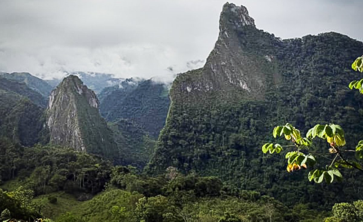 UBPDcolombia's tweet photo. ⛰️ A la vista de los picos Fura y Tena, la búsqueda sigue abriendo caminos hacia la verdad. 🕊️

En el Occidente de Boyacá, la #UBPD recuperó dos cuerpos de personas dadas por desaparecidas y descartó un sitio de interés forense. https://t.co/ig29ujhDkj
