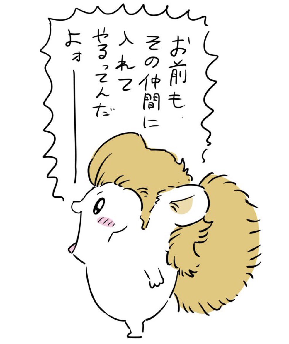 363237 tweet picture