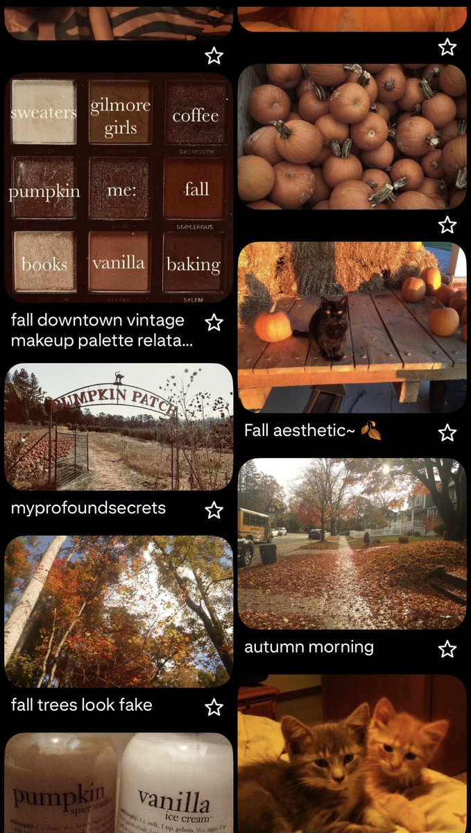 appleheadheaven's tweet photo. I CANT WAIT FOR HALLOWEEN 🎃🧟🐈‍⬛💌 https://t.co/eeGc0L2FrY