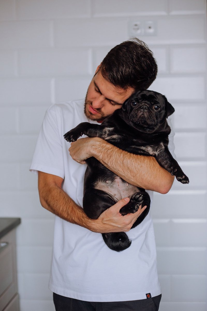 dogperroco's tweet photo. WAIT... DID SOMEONE SAY DOGS?

Big or small, young or old, every dog deserves a life filled with love, comfort, playtime, and plenty of tail-wagging moments.

Celebrate your four-legged best friend today and every day. They make our lives better just by being in them.

#DogLovers https://t.co/9yOHp7Wp2Z