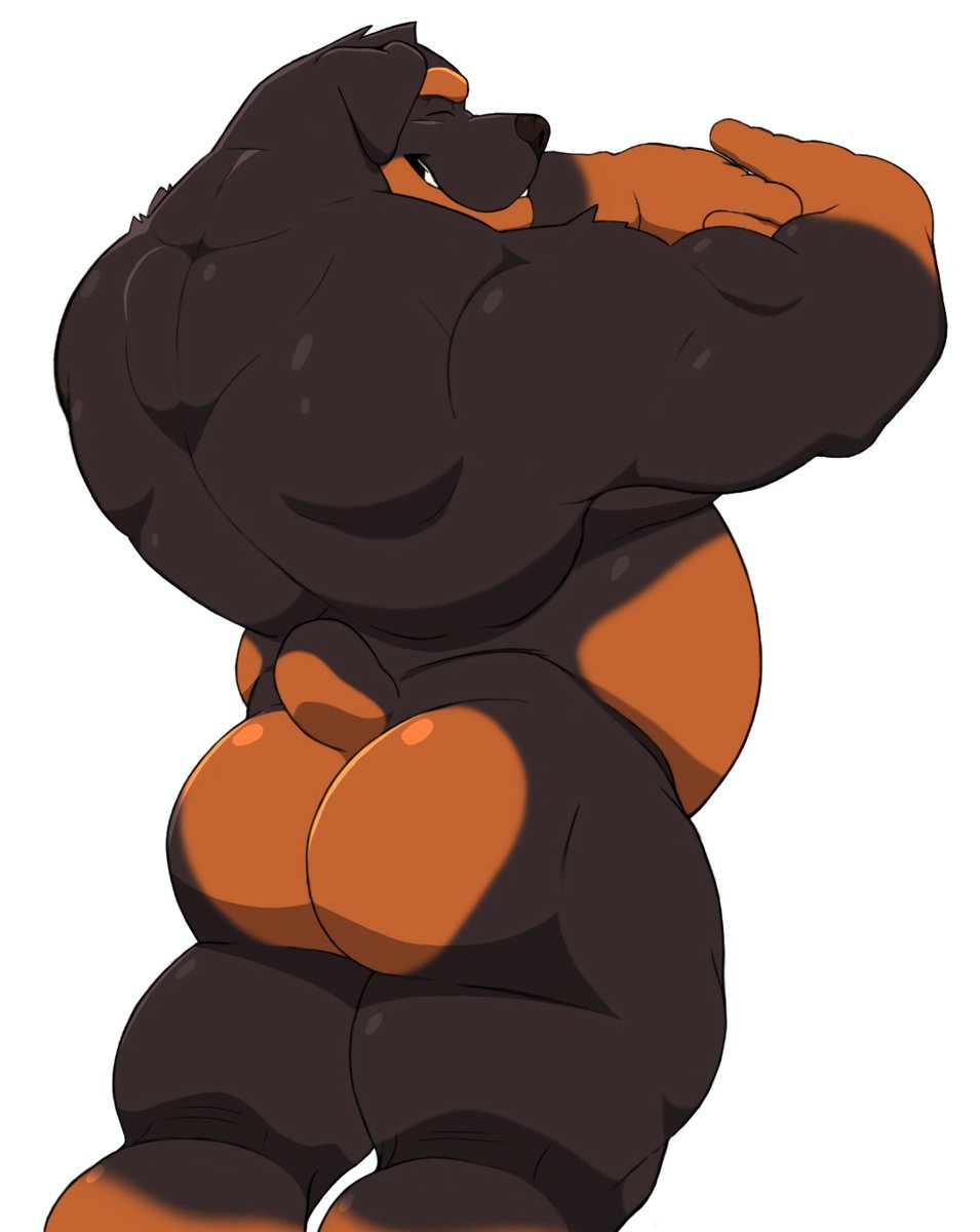 TamarindoHusky's tweet photo. Stretchin' https://t.co/mvYFs6VBqx