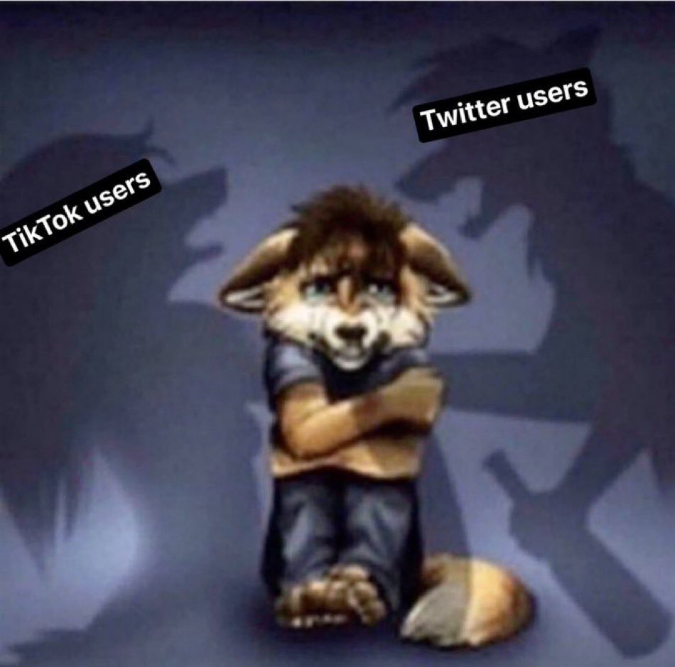 juwangmypretty's tweet photo. how it feels to be a tiktok and twitter user https://t.co/gNXinEV2t6