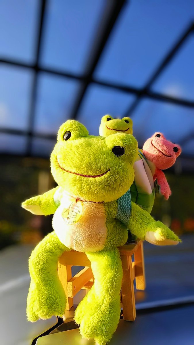 geekun4431's tweet photo. おはようございます🐸💖🎏
10月６日(火)☀12℃～22☁
皆さん今やりたい事は何ですか🐸
人生終わる前にやりたい事があります🐸
それはスカイダイビング🐸🪂
調べてみたら経費は5万~8万のようです🐸
いつかではなく直ぐにでも飛んでみたい🐸🪂
皆さん今日も穏やかで素敵な１日をお過ごしください🐸😎🥰 https://t.co/4aa0s7B5ou