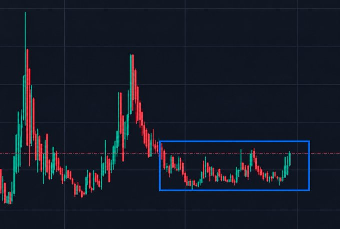 Whail100x's tweet photo. What memecoin is here right now?

Shill me the tickers 

I’m BUYING massively https://t.co/U1Witr0jDS
