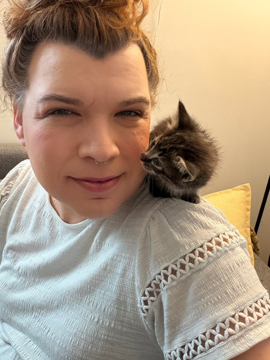 FrontRowEllie's tweet photo. Oh no, this one has chosen me. She follows me around everywhere. Hubby said no more cats but he's about to be in trouble...😅 https://t.co/JqvAdJjxZo