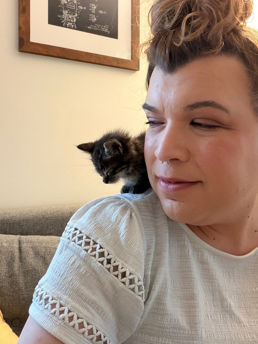 FrontRowEllie's tweet photo. Oh no, this one has chosen me. She follows me around everywhere. Hubby said no more cats but he's about to be in trouble...😅 https://t.co/JqvAdJjxZo